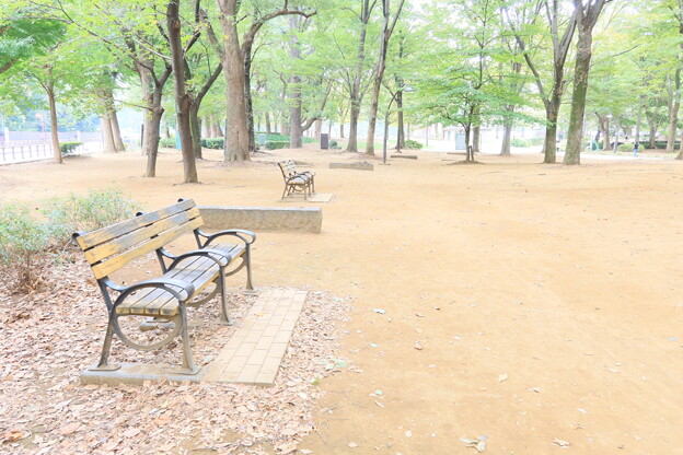 上野公園にて　ハイキーバージョン