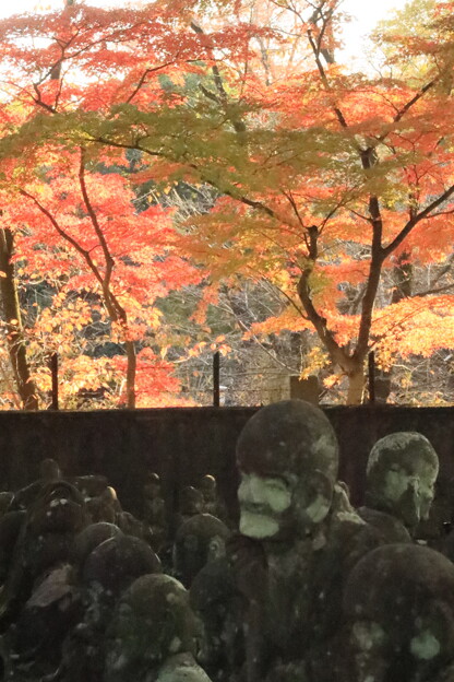 写真: 川越喜多院　500羅漢様と紅葉