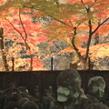 川越喜多院　500羅漢様と紅葉