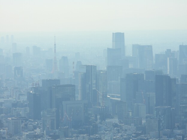 煙る東京タワー