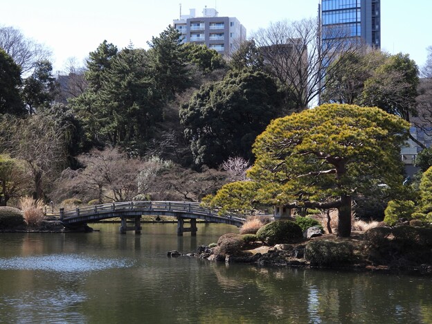 新宿御苑　日本庭園