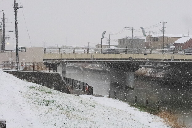 戸田の雪景色