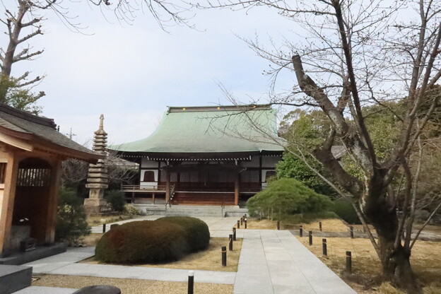 写真: 戸田市のお寺　観音寺
