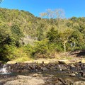 Photos: 小川と小滝