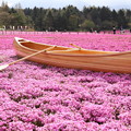 ピンクの海を旅する小舟