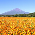 Photos: 暖色に包まれる夏の富士