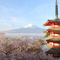 写真: 忠霊塔と富士