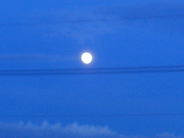 写真: 日暮の月