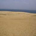 写真: 砂丘
