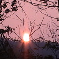 山の夕日--
