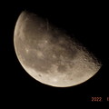 写真: 2022/01/25（火）・下弦の月