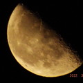 写真: 2022/03/25（金）・下弦の月