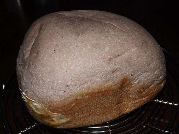 写真: 2024/02/26（月）・ブルーベリー食パン（HB使用）
