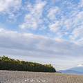 Photos: 富士山の日　三保の松原