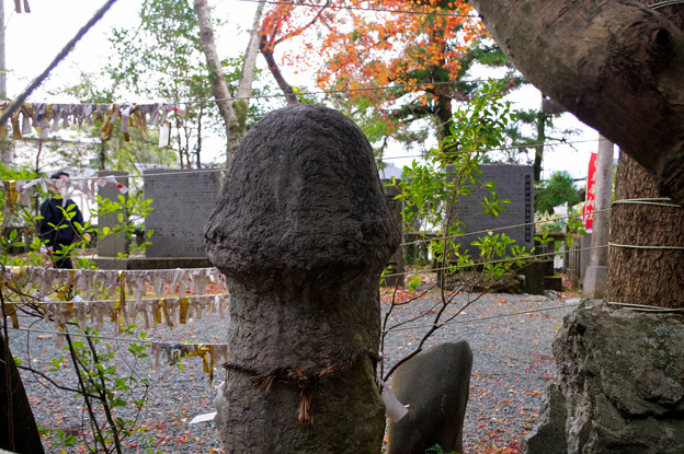 Photos: 朝峯神社