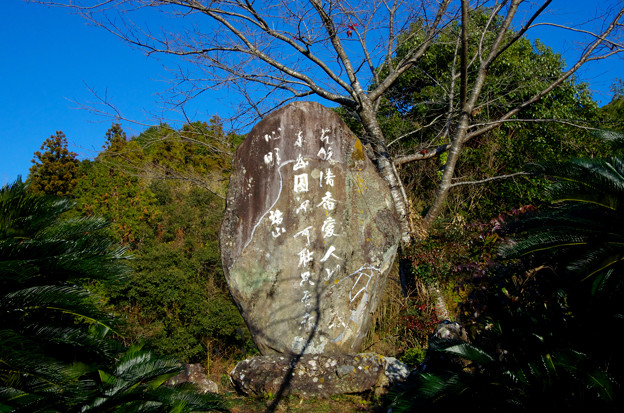 写真: 瑞山神社