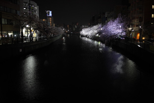 夜の大岡川