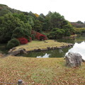 写真: 小石川植物園020