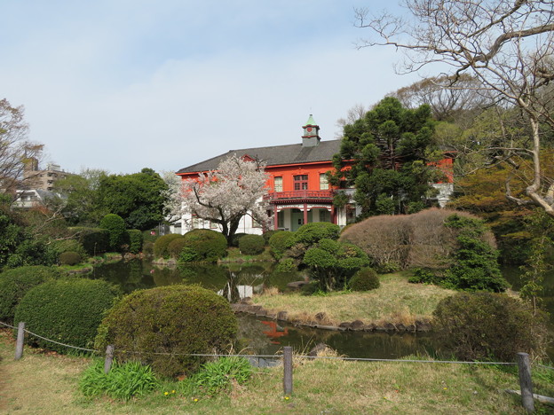 写真: 小石川植物園20