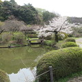 写真: 小石川植物園24