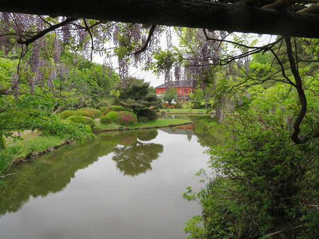 写真: 小石川植物園40