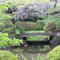 写真: 小石川植物園36