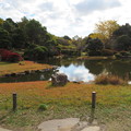 小石川植物園16
