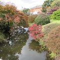 小石川植物園15