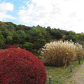小石川植物園21