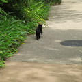 写真: 赤塚植物園17