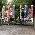 写真: 熊野神社03