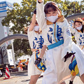 写真: 四日市よさこい祭りプレイベント　津凪-tsunagi-