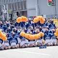 Photos: 博多どんたく2022　福岡工業大学附属城東高校 BLUE ANGELS