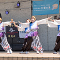 写真: 近江八幡ダンスフェスティバル　みのおよさこい踊り子隊“凛”