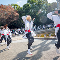 Photos: 四日市よさこい祭り2022　祠音-shinon-