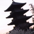 写真: 国分寺の五重塔風景