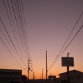 写真: 夕陽