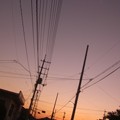 写真: 雲のない夕日
