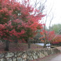 写真: 秋公園