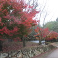 写真: 興福寺公園