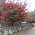写真: 興福寺公園の一角