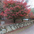 写真: 興福寺公園の一角