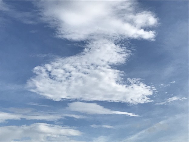 写真: 魚のような雲
