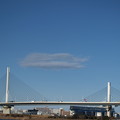 写真: かつしかハープ橋