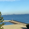 Photos: 2021.11.29　都市高速から見る博多湾3