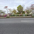 写真: 2024.04.14　街路樹花壇東1.2の周りの草抜き完了　17時06分