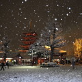 写真: 雪の浅草寺