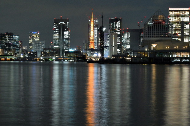 写真: 豊洲ぐるり公園から東京タワー
