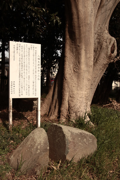 Photos: 965 八幡太郎 手割りの石
