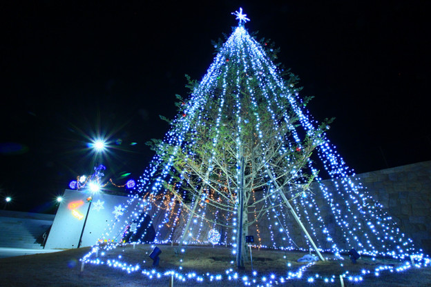 Photos: 915 茨キリのクリスマスツリー
